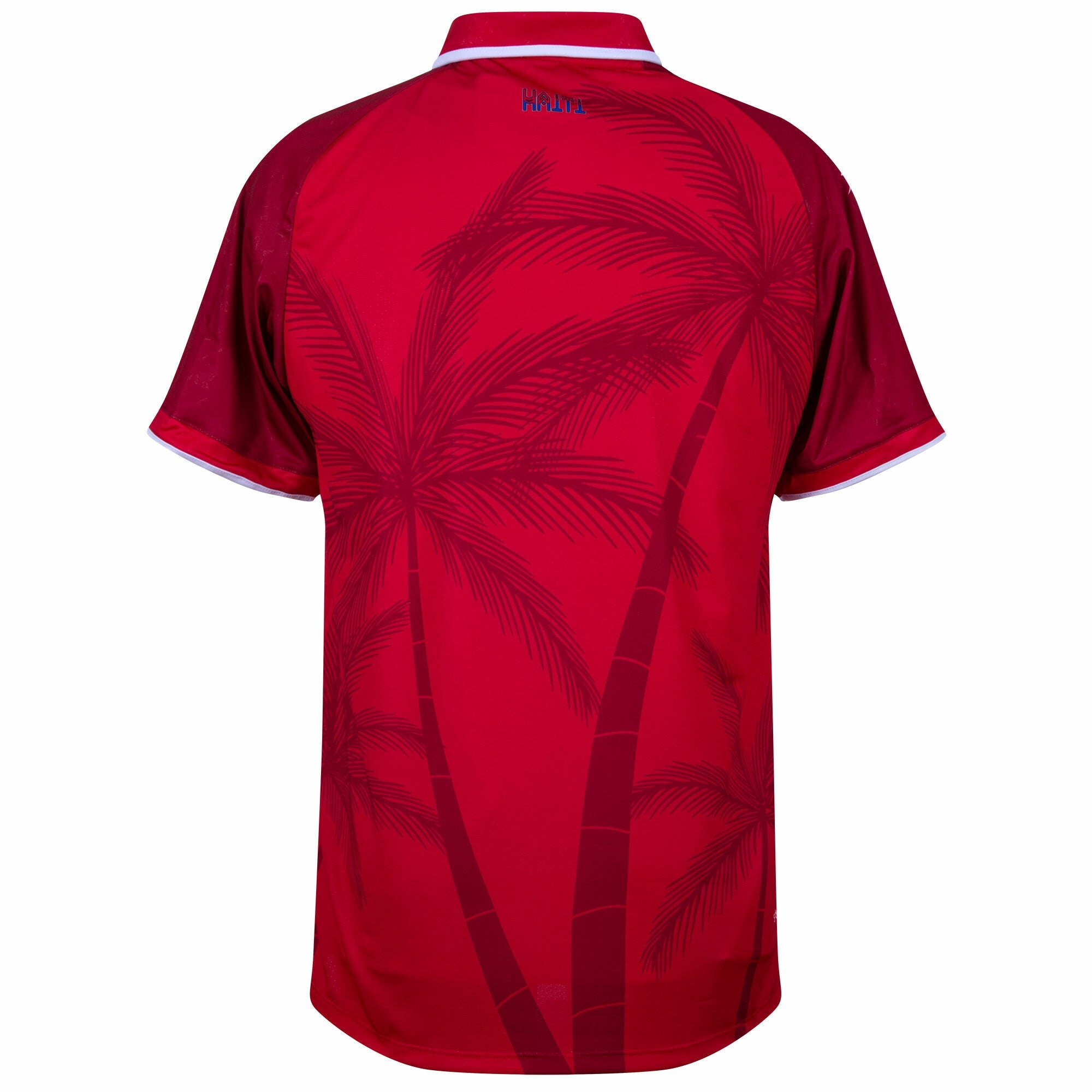 Haiti Authentic Away Jersey 2026 (Fan)