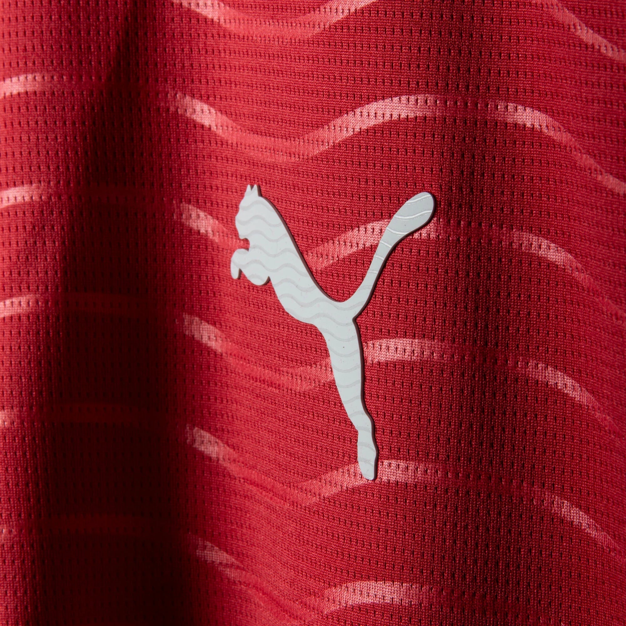 Portugal Home L/S Jersey 2026-2027 (Player Version)