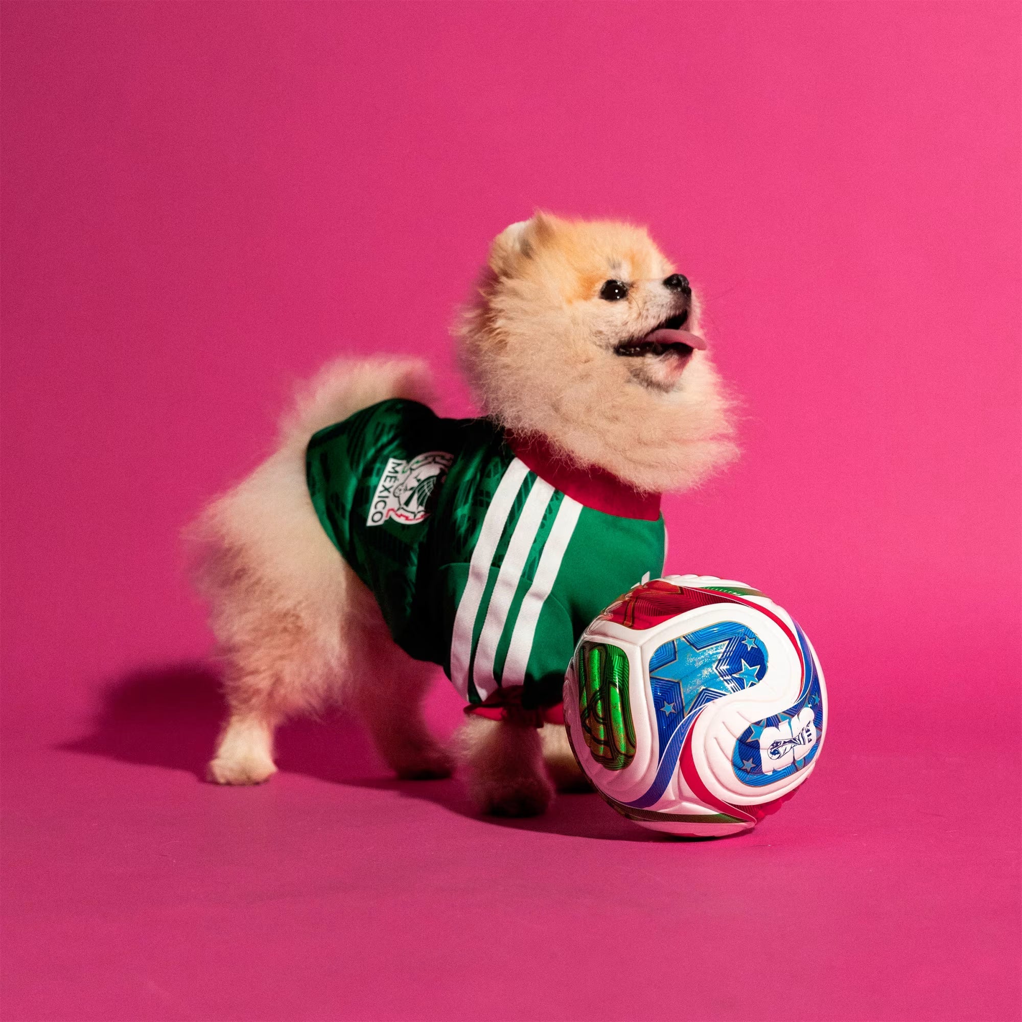 Pet Jersey 26 Mexico