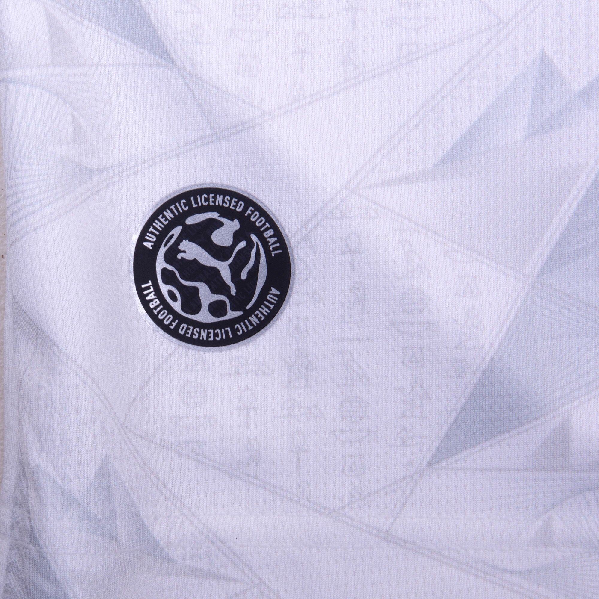 Egypt Away Jersey 2026-2027 (Fan)