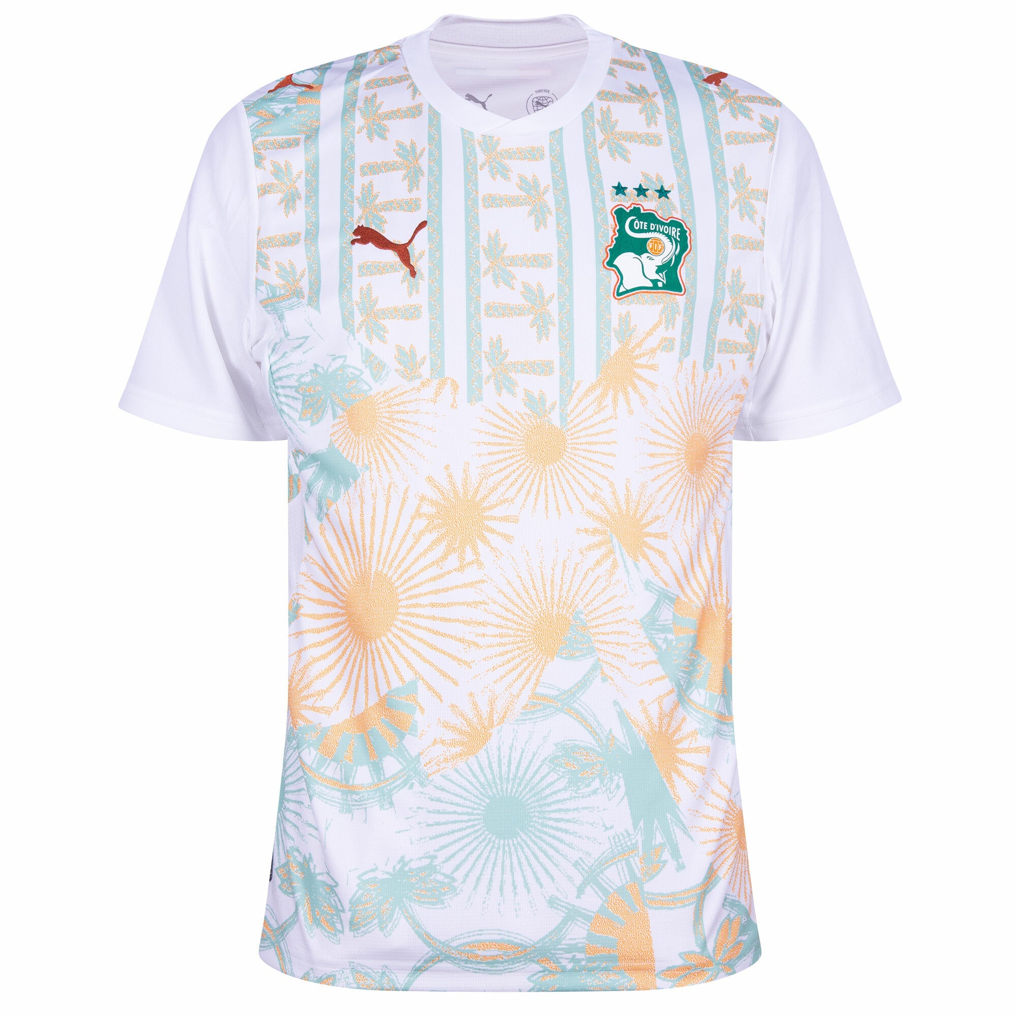 Ivory Coast Away Jersey 2026-2027 (Fan)