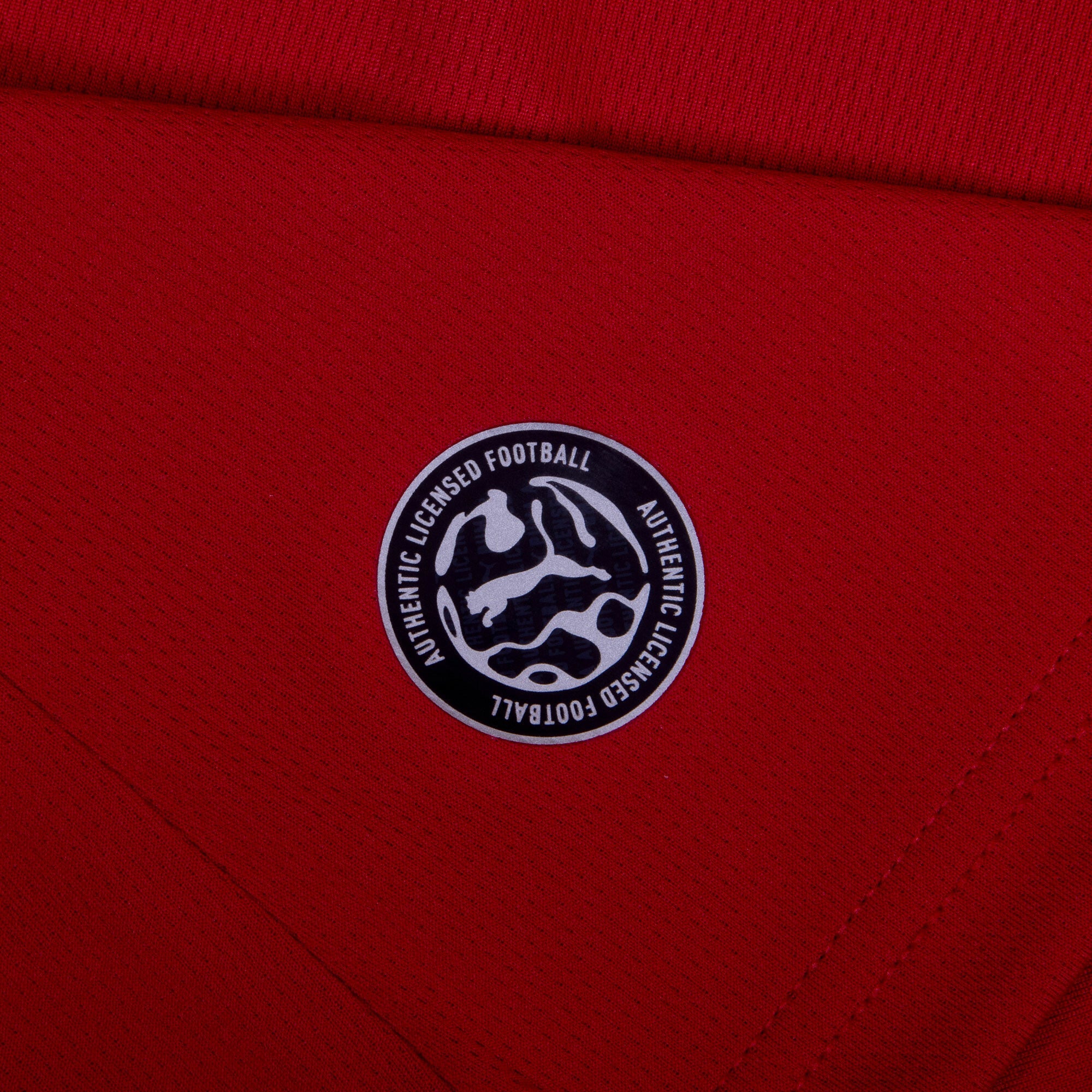 Czech Republic Home Jersey 2026-2027 (Fan)